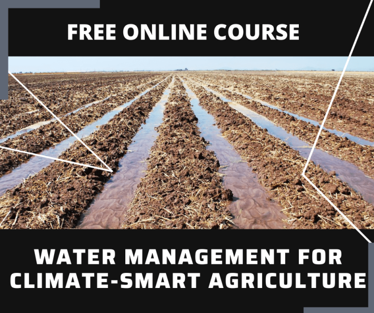 Social Work Free Course