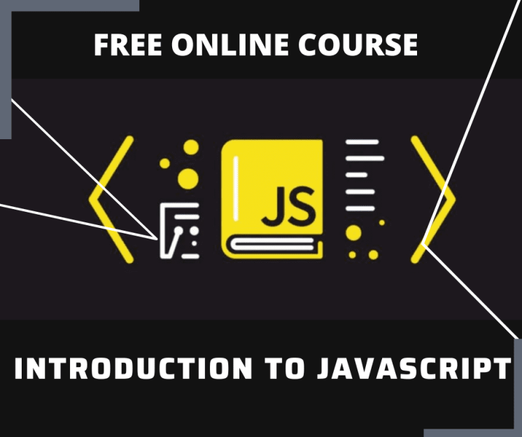 Essay and Report Skills