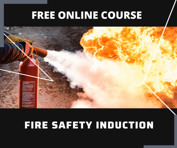 Essay and Report Skills