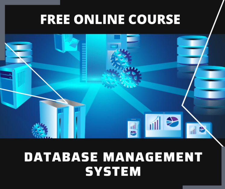 Essay and Report Skills