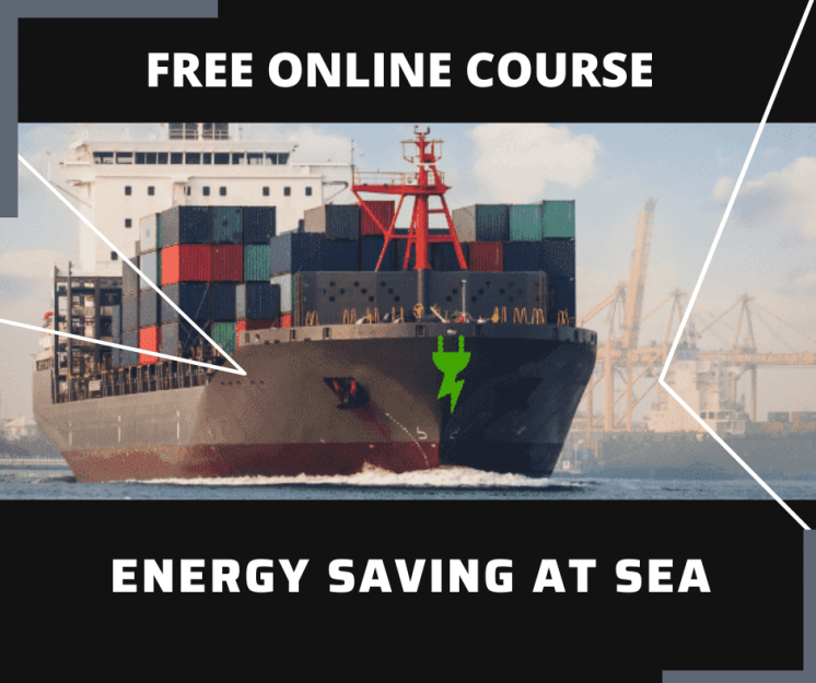 Essay and Report Skills