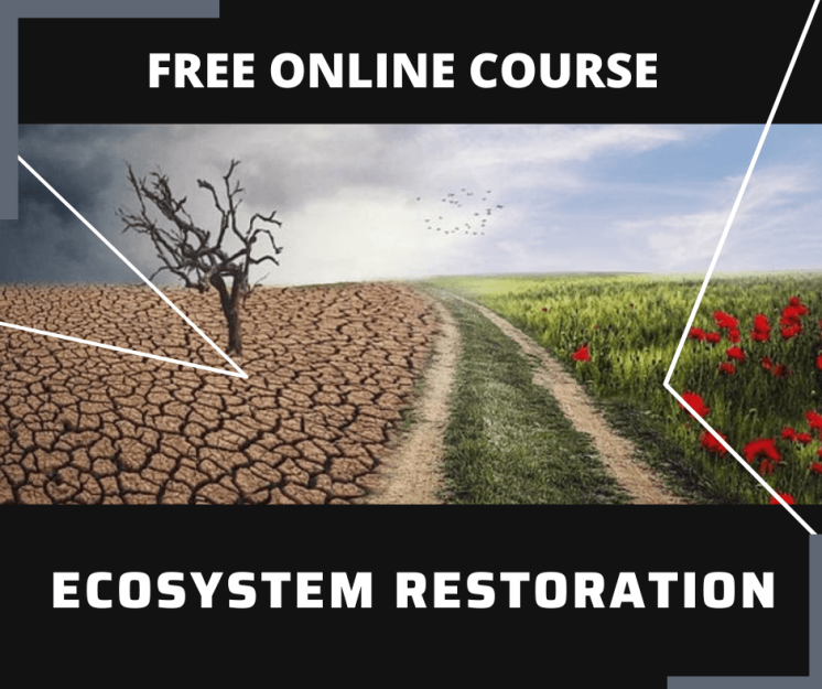 Social Work Free Course